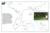 bel03m saaremaa 2_thumb.gif
